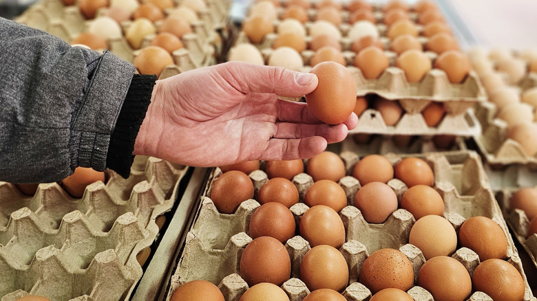 Someone holds up a single egg in front of multiple egg cartons.