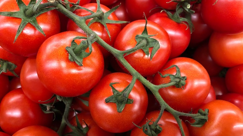Small red tomatoes on the vine