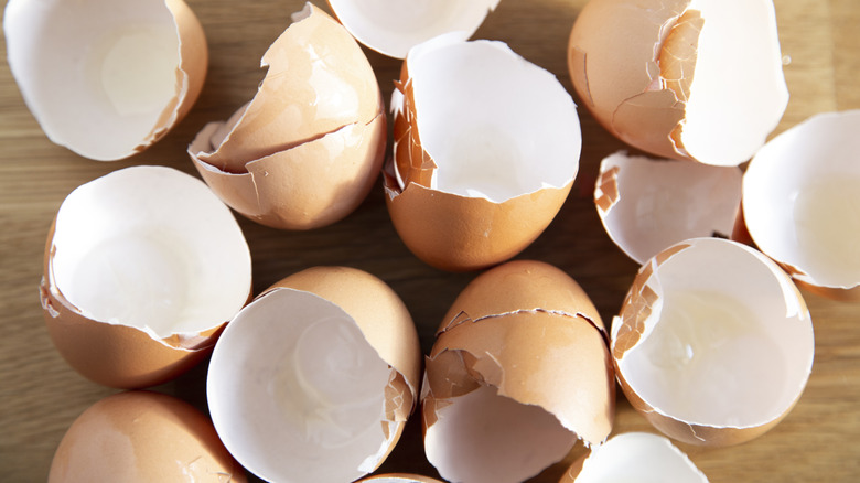 A pile of freshly cracked eggshells