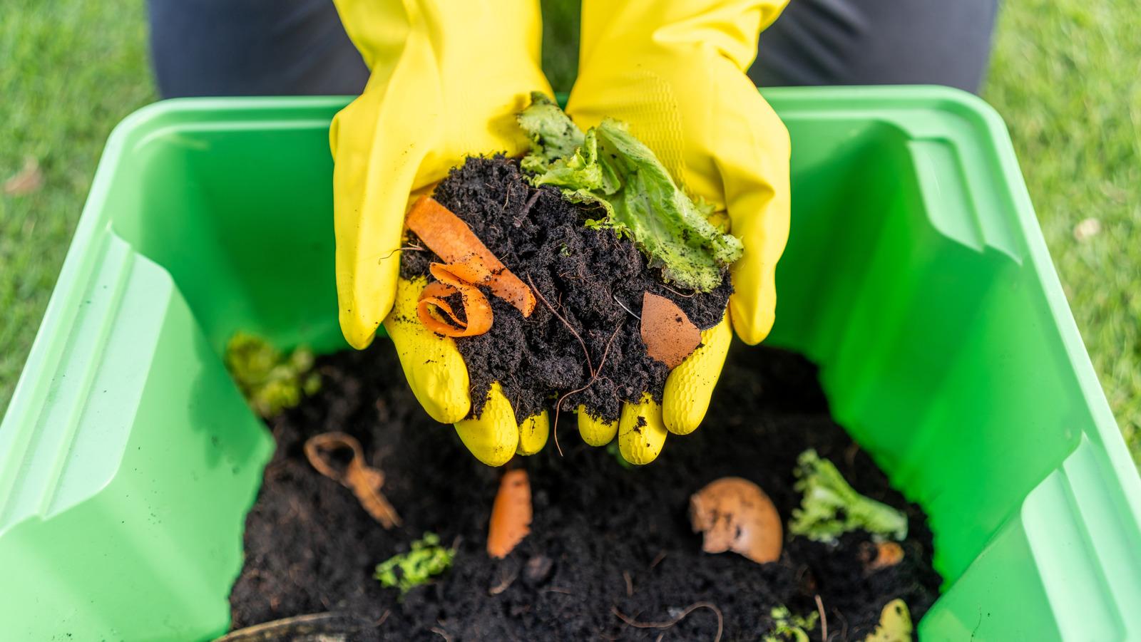 <a href="https://www.foodrepublic.com/1939941/dont-throw-away-eggshells-fertilize-garden/" target="_blank">Don’t Throw Away Eggshells: Use Them To Fertilize Your Garden</a>