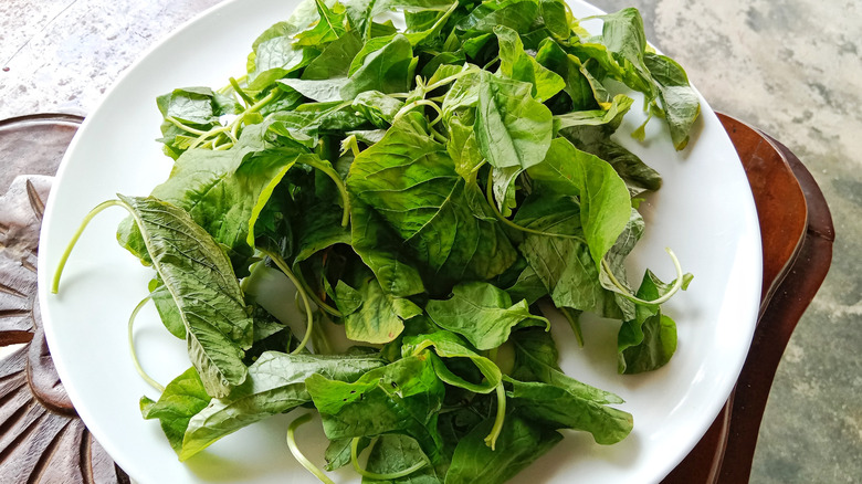 Raw spinach leaves that are starting to wilt on a white plate