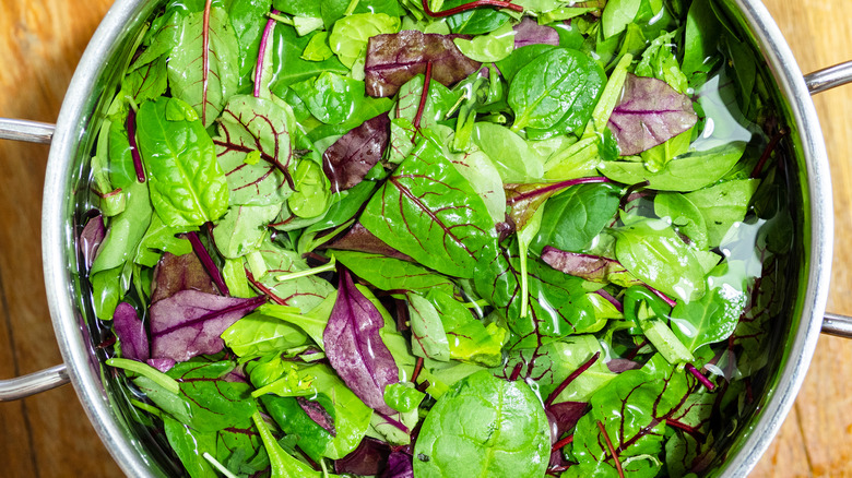 Overhead view of a large metal pot full of leafy greens soaking in water