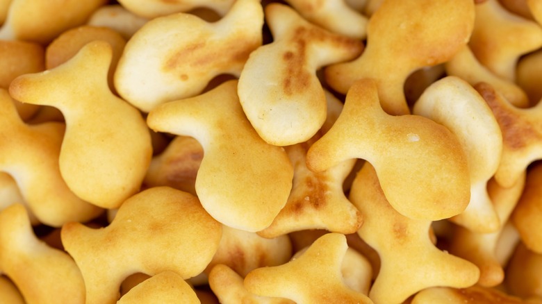 Close-up of Goldfish Crackers