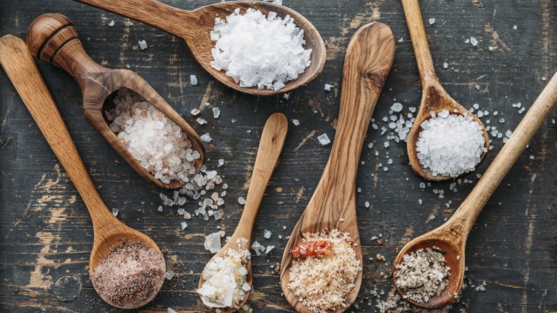 Wooden spoons full of various seasoning salts