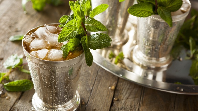 Mint julep cocktails