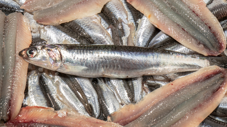 A pile of fresh anchovies