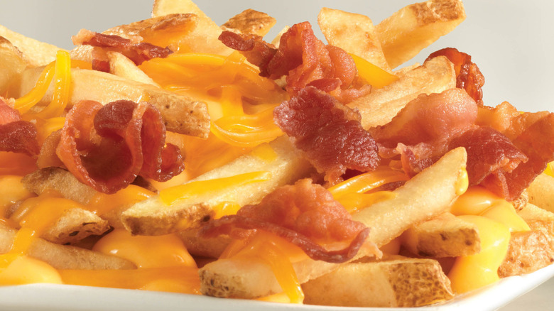 Closeup of Baconator Fries on a white plate