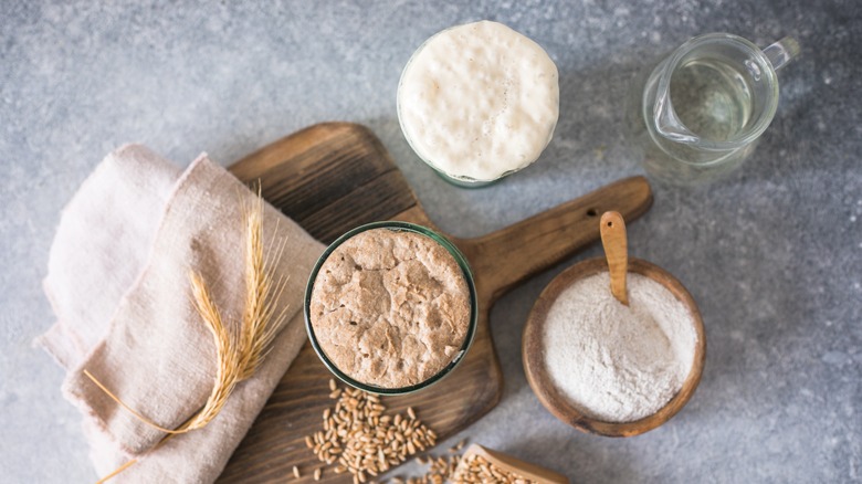 Sourdough starter elements