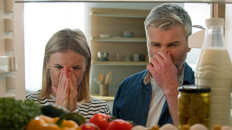 A couple hold their noses as they open a refrigerator