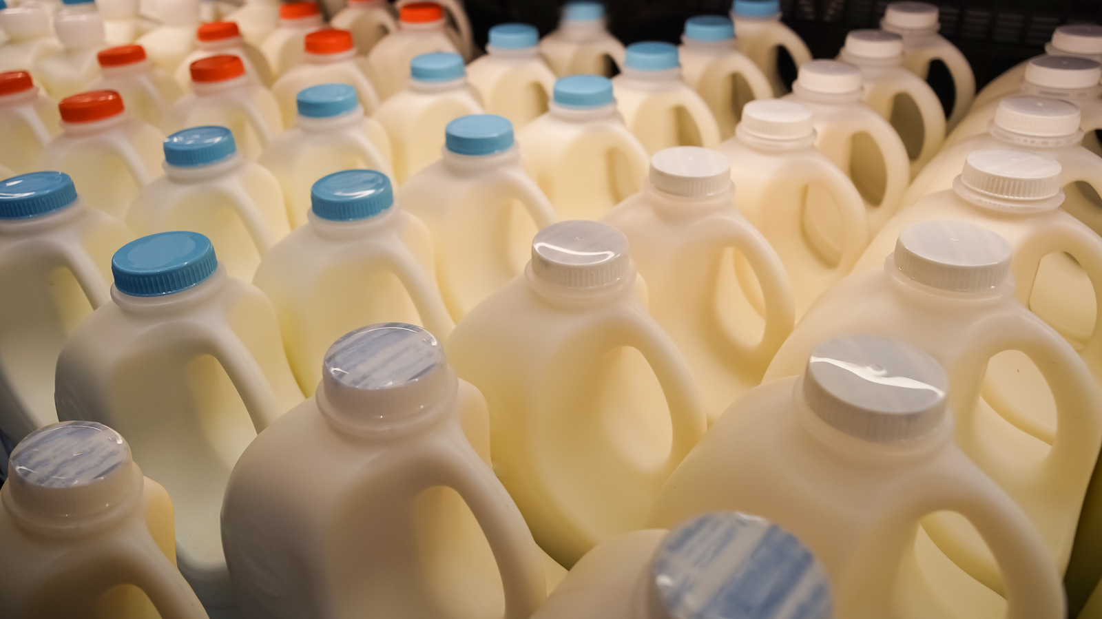 Ever Wonder Why Plastic Milk Jugs Have Indents?