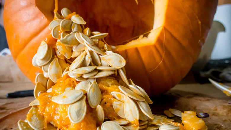 pumpkin seeds spilling out of pumpkin