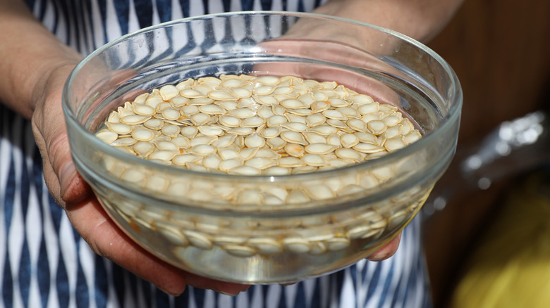 bowl of water and pumpkin seeds
