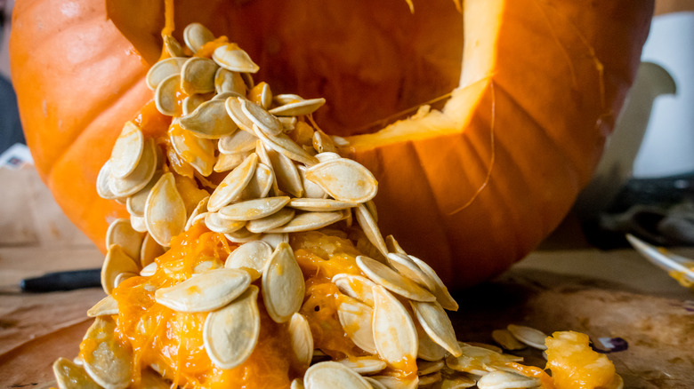 pumpkin seeds spilling out of pumpkin