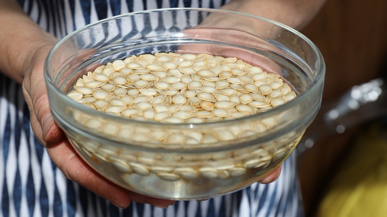 bowl of water and pumpkin seeds