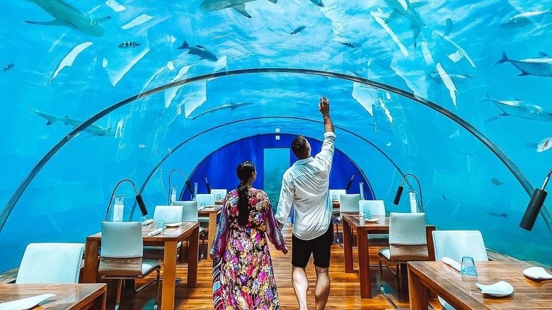 Underwater restaurant surrounded by fish