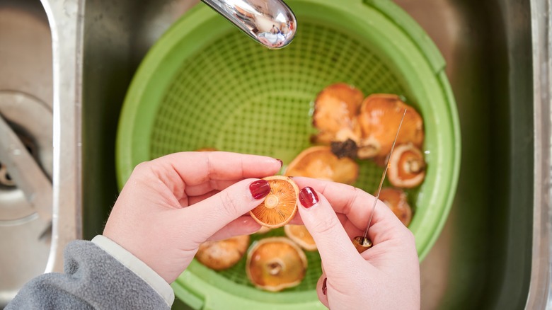 Mushrooms being washed in a sink with a colander