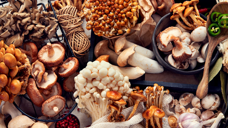 Collection of various raw mushrooms