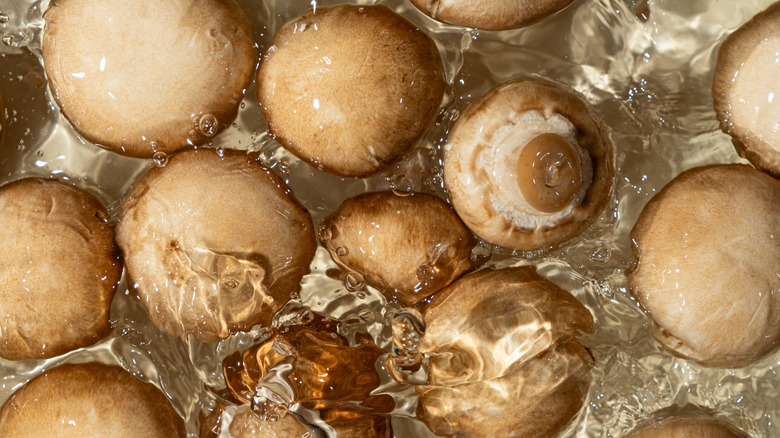 Cremini mushrooms floating in water