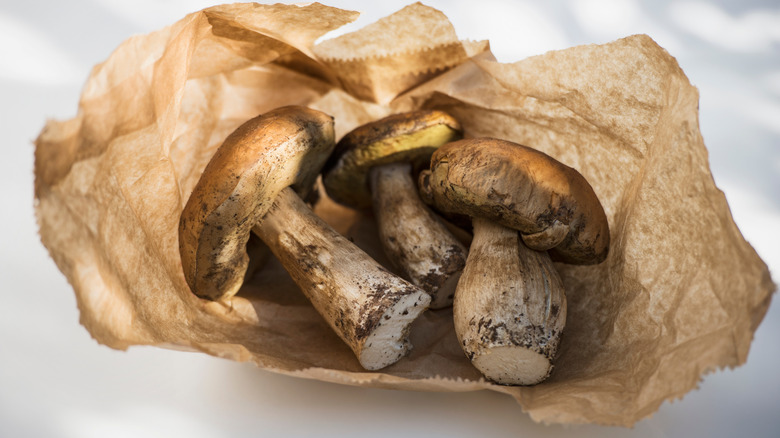 Mushrooms in a paper bag