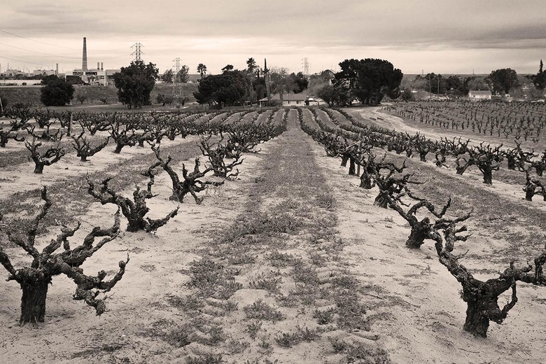 Fall Preview 2014: 6 Things To Look Forward To In The World Of Wine