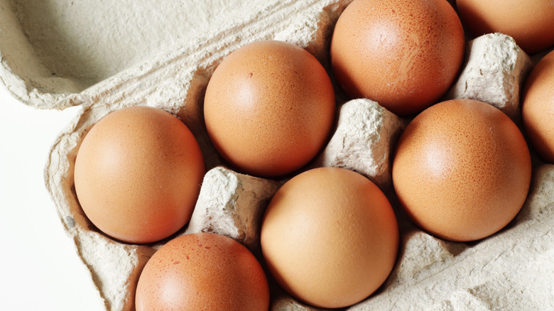 eggs in open egg carton