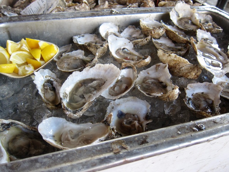 Shucked Oysters