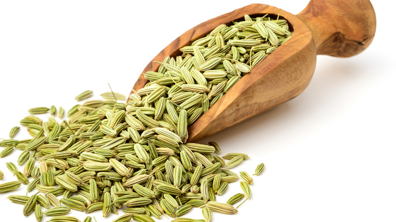 Fennel seeds in wooden measuring spoon