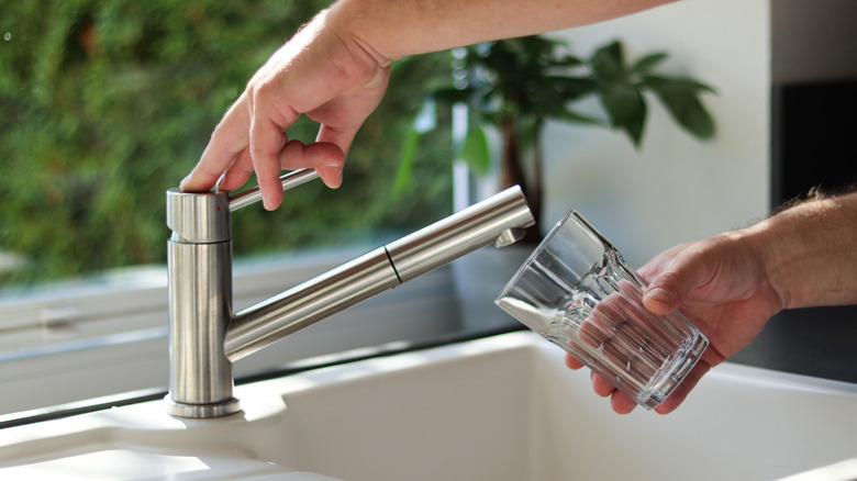 A person pouring a cup of tap water.