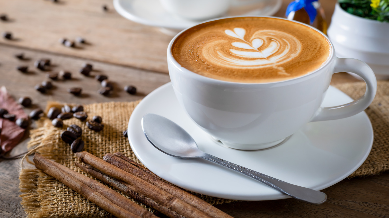 How Your Coffee Cup Makes Your Coffee Taste Better – Or Worse - Perfect  Daily Grind