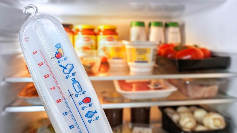 fridge thermometer with food behind