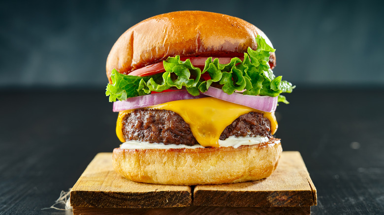 Brioche bun hamburger with melted cheese
