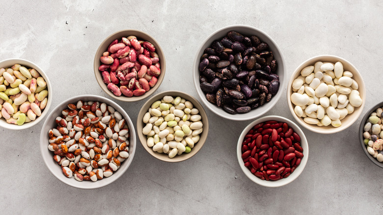 A variety of beans sit in separate bowls.