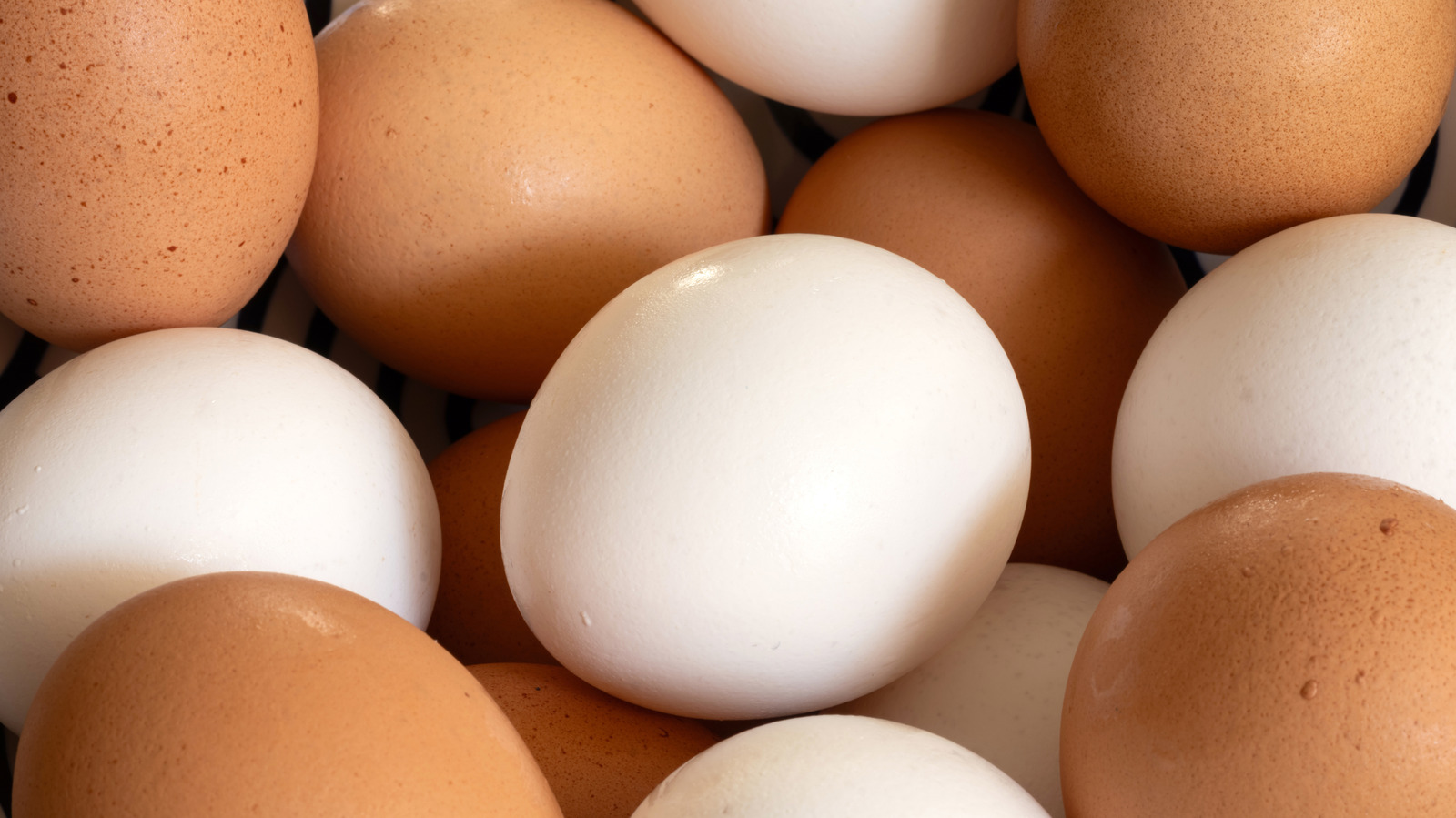 FoodWireDaily — 11 Foods That Have More Protein Than An Egg
