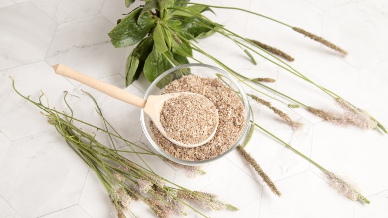 Bowl of psyllium husk with a wooden spoon 