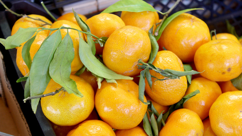 Box of mandarins with leaves