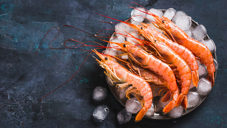 shrimp frozen on ice