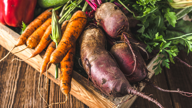 Crate of carrots and beets