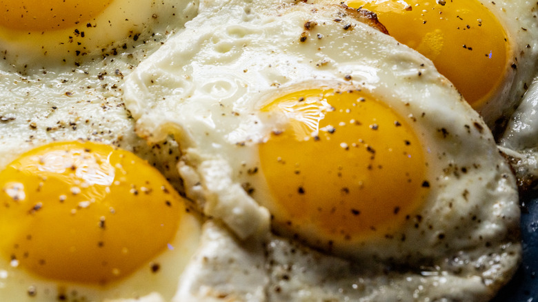 closeup of four fried eggs