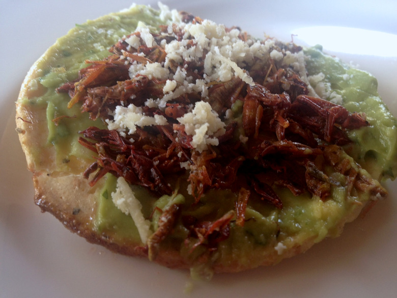 Fried Mexican Grasshoppers, Chapulines, Will Knock You Out Of A Taco Rut