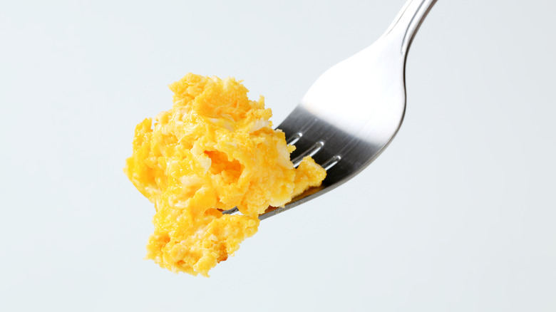 Forkful of scrambled eggs against white background