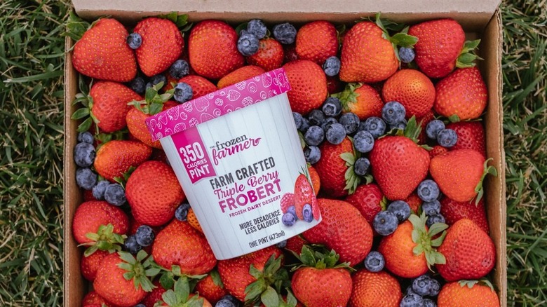 Frozen Farmer triple berry Frobert