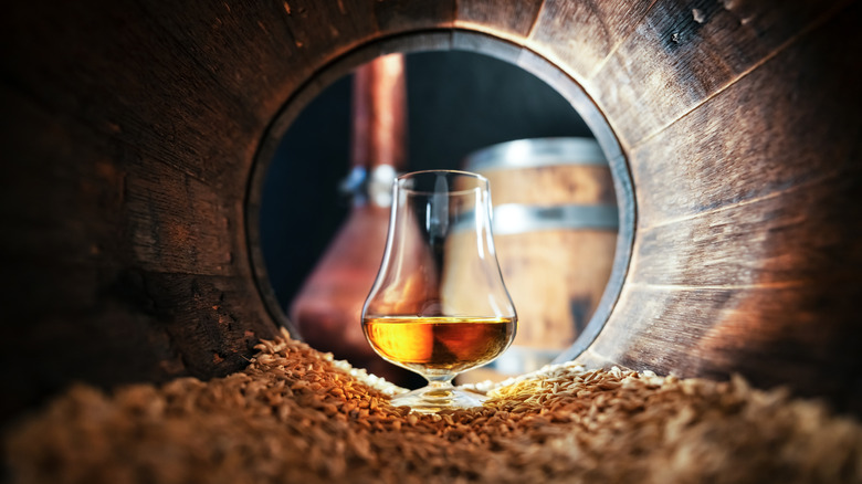 A glass of bourbon whiskey in old oak barrel with wood chips lining bottom of barrel
