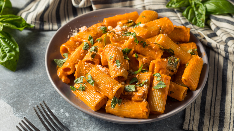 Homemade pasta alla vodka 