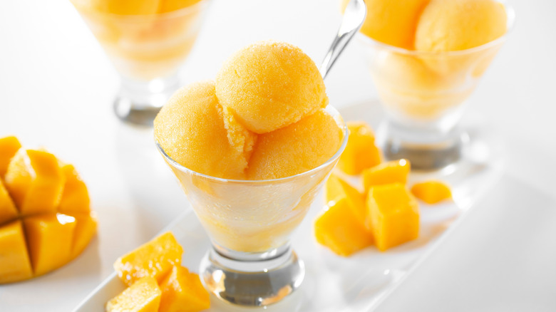 Cup of mango sorbet surrounded by fresh cubes of mango.