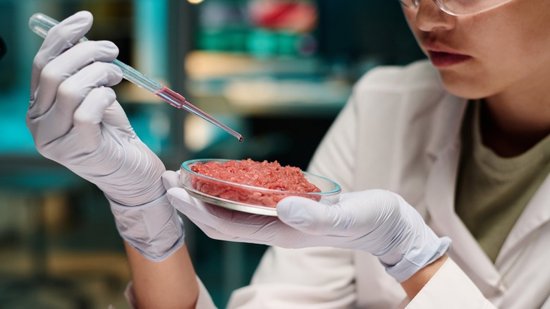 Scientist in lab coat and gloves conducting a test on a sample of ground beef