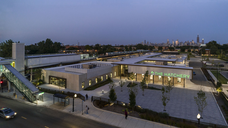 The Hatchery Chicago restaurant incubator