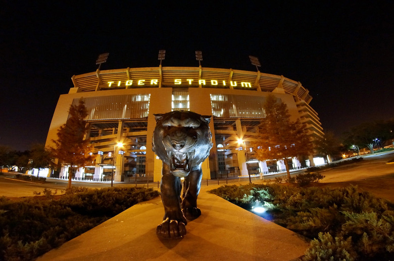 LSU Tiger Flickr getmahesh