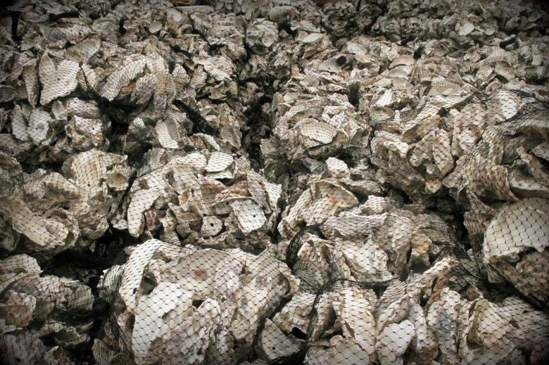 Here's A Strong Argument That Maryland Is America's Top Oyster State