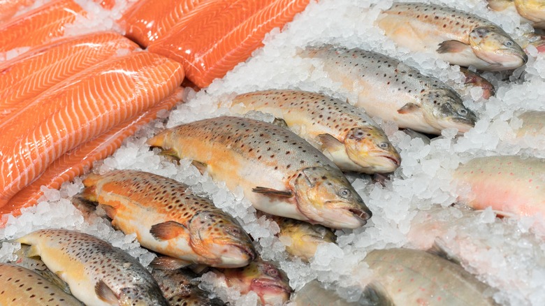 Whole fish on ice