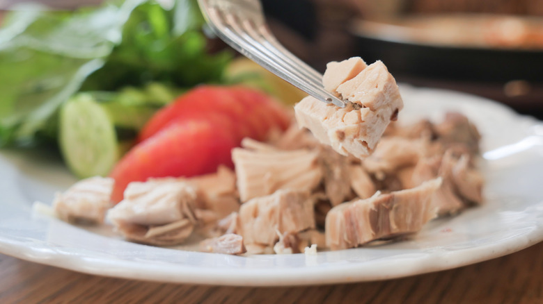 Fork holding a piece of chopped boiled chicken breast over a white plate with more chicken, and tomatoes, cucumbers, and lettuce in the background